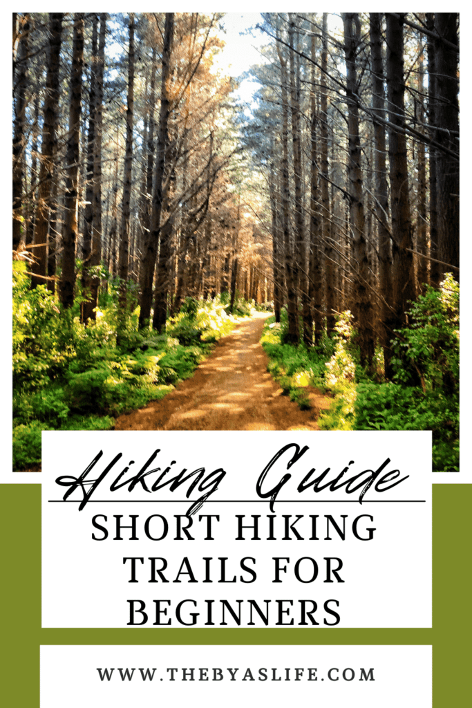 Exploring the Great Smoky Mountains Short Hiking Trails